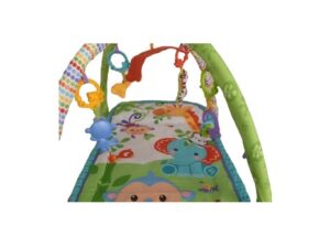 Βρεφικό γυμναστήριο fisher price