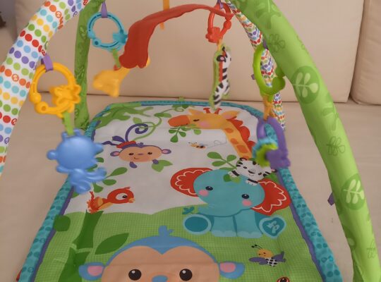 Βρεφικό γυμναστήριο fisher price