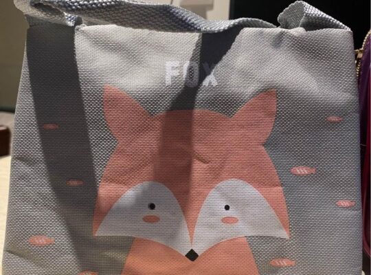 Σχολική τσάντα + 2 Launch boxes