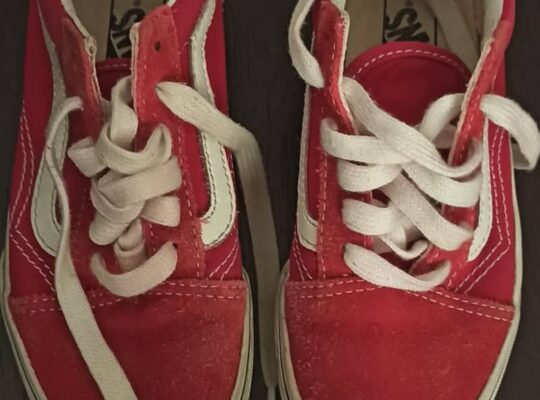 Παπούτσια Vans