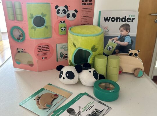 Montessori Development Sensory Toys-Kiwi.co panda