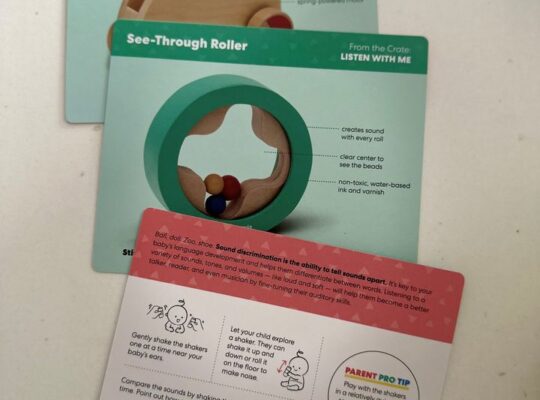 Montessori Development Sensory Toys-Kiwi.co panda