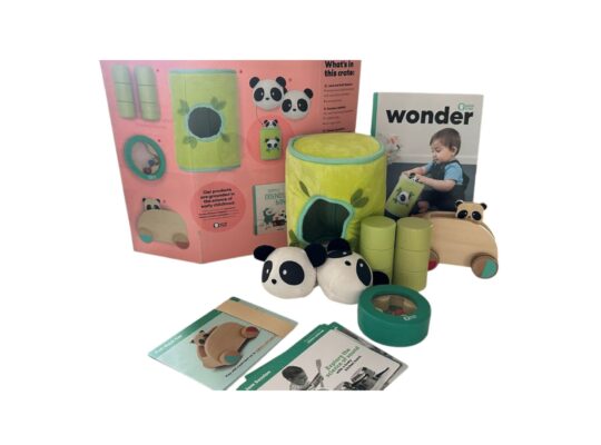 Montessori Development Sensory Toys-Kiwi.co panda