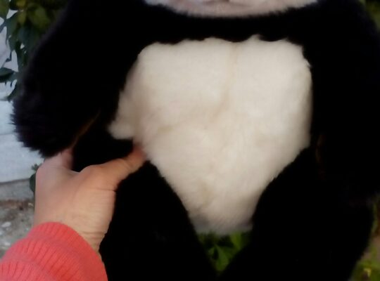 Λούτρινο Panda WWF αρκουδάκι καινούργιο