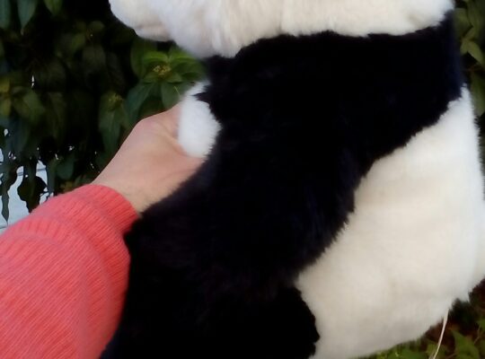 Λούτρινο Panda WWF αρκουδάκι καινούργιο