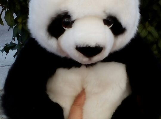 Λούτρινο Panda WWF αρκουδάκι καινούργιο