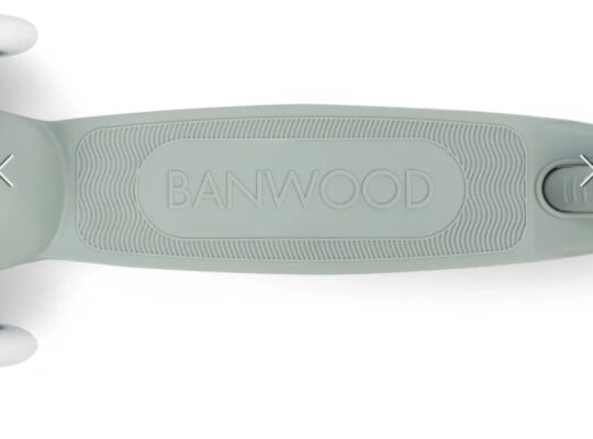 Πατίνι banwood