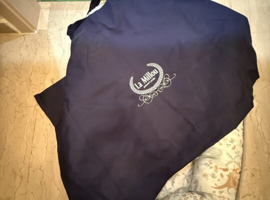 ΒΡΕΦΙΚΗ ΦΩΛΙΑ/ΦΩΛΙΑ ΜΩΡΟΥ