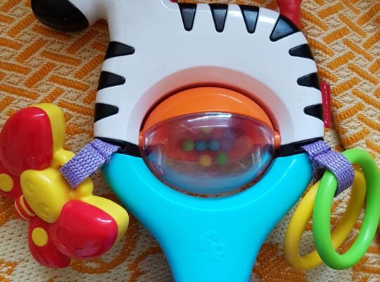 Ζέβρα δραστηριοτήτων Fisher-Price με βεντούζα